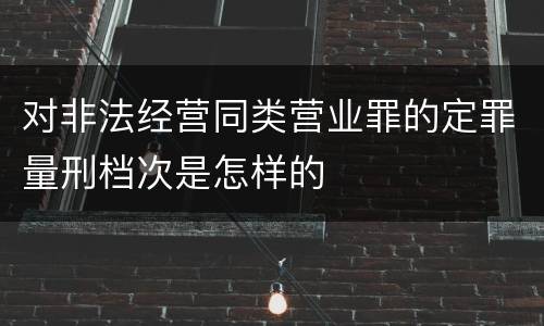 对非法经营同类营业罪的定罪量刑档次是怎样的
