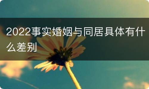 2022事实婚姻与同居具体有什么差别