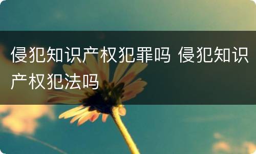 侵犯知识产权犯罪吗 侵犯知识产权犯法吗