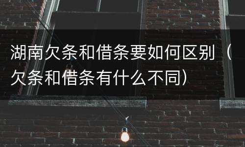 湖南欠条和借条要如何区别（欠条和借条有什么不同）