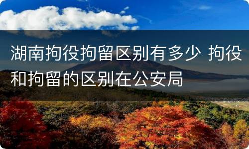 湖南拘役拘留区别有多少 拘役和拘留的区别在公安局