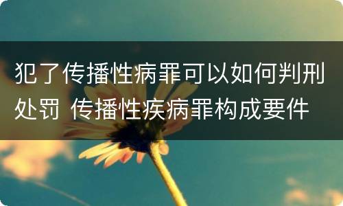 犯了传播性病罪可以如何判刑处罚 传播性疾病罪构成要件