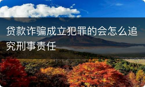 贷款诈骗成立犯罪的会怎么追究刑事责任
