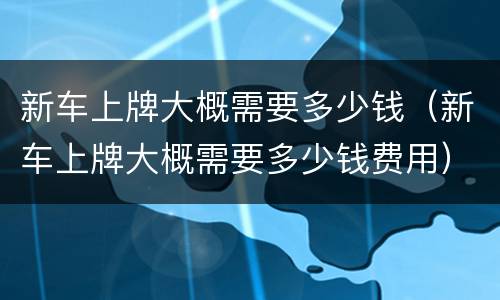 新车上牌大概需要多少钱（新车上牌大概需要多少钱费用）