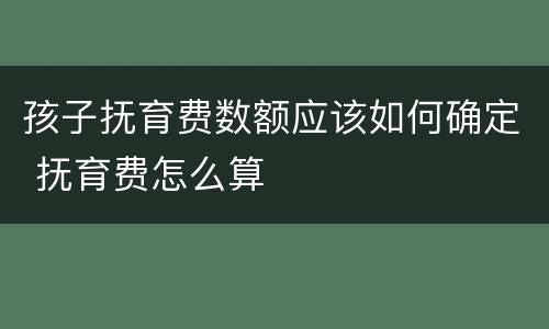 孩子抚育费数额应该如何确定 抚育费怎么算