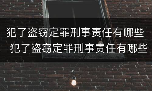 犯了盗窃定罪刑事责任有哪些 犯了盗窃定罪刑事责任有哪些