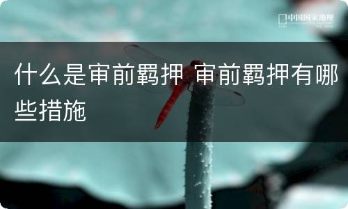 什么是审前羁押 审前羁押有哪些措施