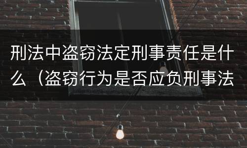 刑法中盗窃法定刑事责任是什么（盗窃行为是否应负刑事法律责任）