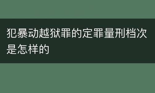 犯暴动越狱罪的定罪量刑档次是怎样的