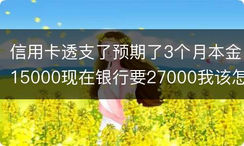 信用卡透支了预期了3个月本金15000现在银行要27000我该怎么办