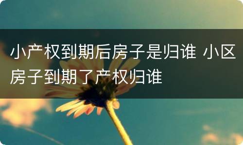 小产权到期后房子是归谁 小区房子到期了产权归谁