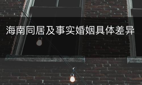 海南同居及事实婚姻具体差异