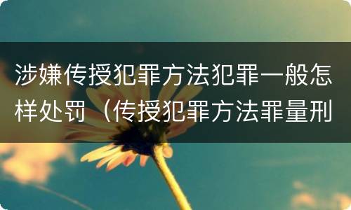 涉嫌传授犯罪方法犯罪一般怎样处罚（传授犯罪方法罪量刑情节严重）