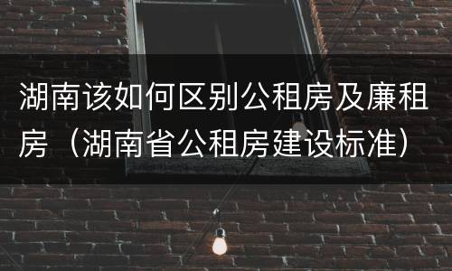 湖南该如何区别公租房及廉租房（湖南省公租房建设标准）
