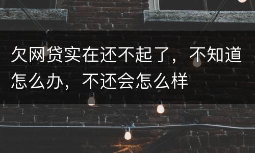 欠网贷实在还不起了，不知道怎么办，不还会怎么样
