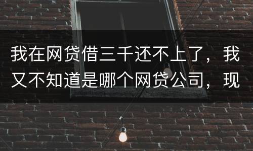 我在网贷借三千还不上了，我又不知道是哪个网贷公司，现在他们起诉我了，我会坐牢吗