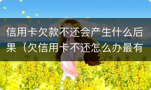 信用卡欠款不还会产生什么后果（欠信用卡不还怎么办最有效的方法）