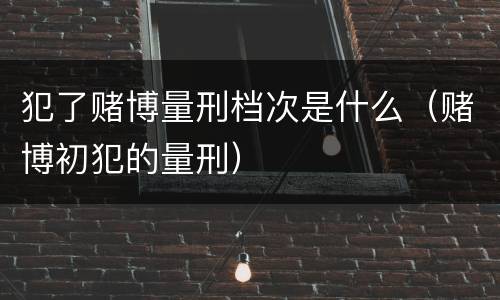 犯了赌博量刑档次是什么（赌博初犯的量刑）