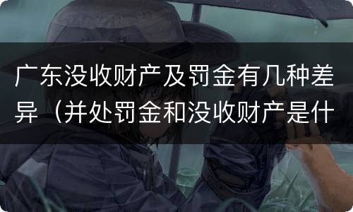 广东没收财产及罚金有几种差异（并处罚金和没收财产是什么意思）