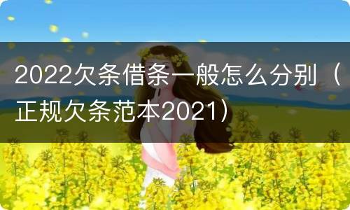 2022欠条借条一般怎么分别（正规欠条范本2021）