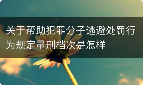 关于帮助犯罪分子逃避处罚行为规定量刑档次是怎样