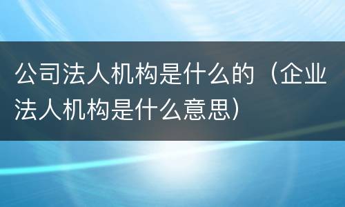 公司法人机构是什么的（企业法人机构是什么意思）
