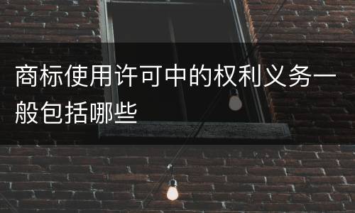 商标使用许可中的权利义务一般包括哪些