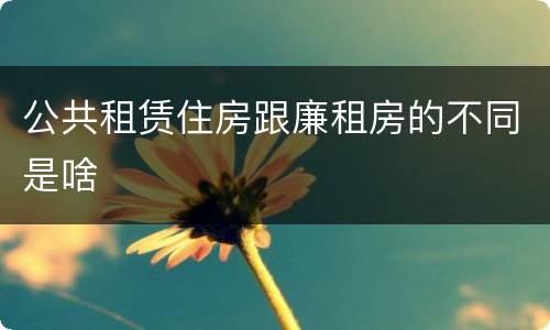 公共租赁住房跟廉租房的不同是啥