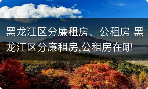 黑龙江区分廉租房、公租房 黑龙江区分廉租房,公租房在哪