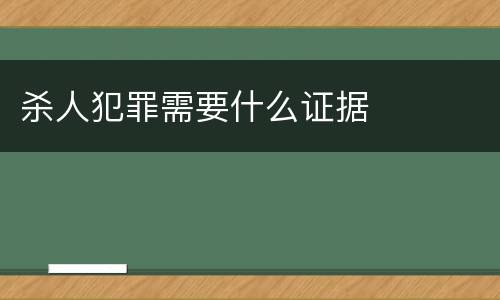 杀人犯罪需要什么证据