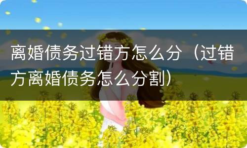 离婚债务过错方怎么分（过错方离婚债务怎么分割）