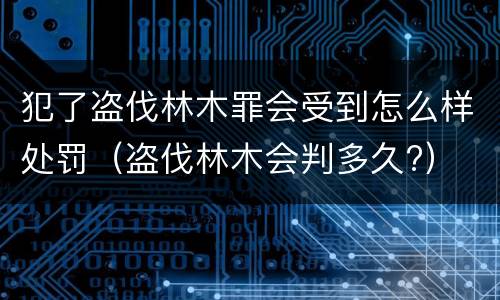 犯了盗伐林木罪会受到怎么样处罚（盗伐林木会判多久?）