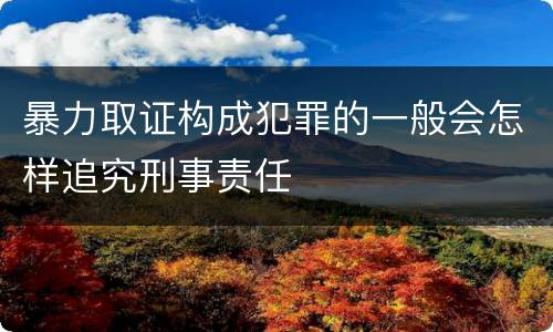 暴力取证构成犯罪的一般会怎样追究刑事责任