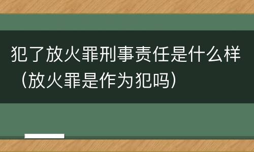 犯了放火罪刑事责任是什么样（放火罪是作为犯吗）