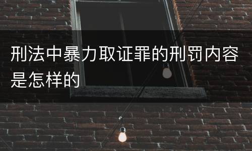 刑法中暴力取证罪的刑罚内容是怎样的