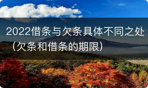 2022借条与欠条具体不同之处（欠条和借条的期限）