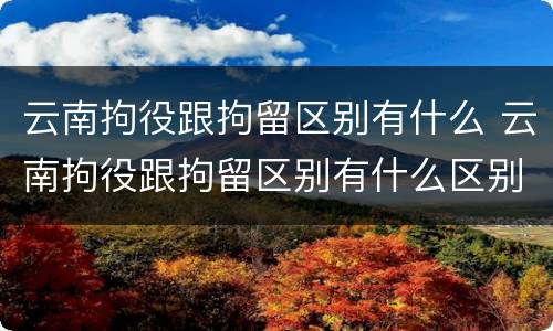 云南拘役跟拘留区别有什么 云南拘役跟拘留区别有什么区别呢