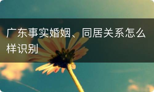 广东事实婚姻、同居关系怎么样识别