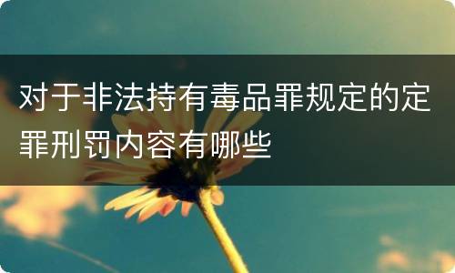 对于非法持有毒品罪规定的定罪刑罚内容有哪些