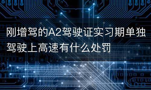 刚增驾的A2驾驶证实习期单独驾驶上高速有什么处罚