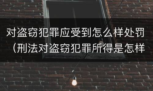 对盗窃犯罪应受到怎么样处罚（刑法对盗窃犯罪所得是怎样处理的）