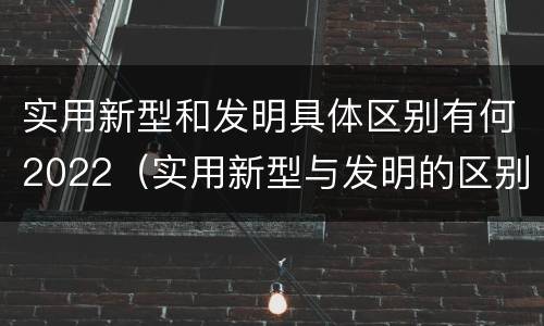 实用新型和发明具体区别有何2022（实用新型与发明的区别）