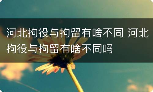 河北拘役与拘留有啥不同 河北拘役与拘留有啥不同吗