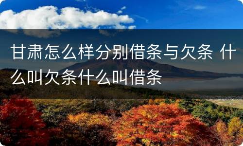 甘肃怎么样分别借条与欠条 什么叫欠条什么叫借条