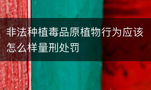 非法种植毒品原植物行为应该怎么样量刑处罚