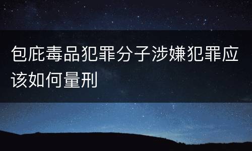 包庇毒品犯罪分子涉嫌犯罪应该如何量刑
