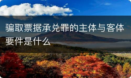 骗取票据承兑罪的主体与客体要件是什么