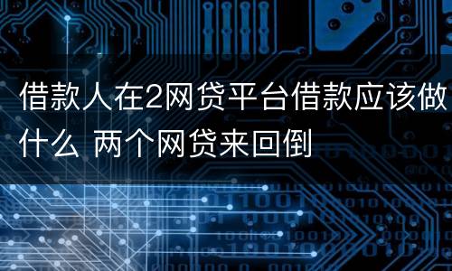 借款人在2网贷平台借款应该做什么 两个网贷来回倒