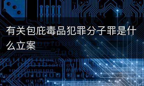 有关包庇毒品犯罪分子罪是什么立案
