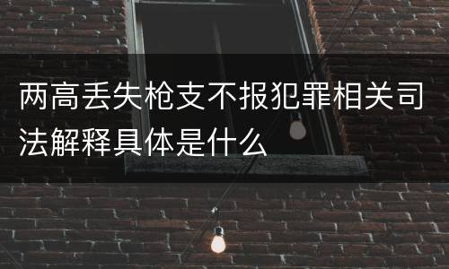 两高丢失枪支不报犯罪相关司法解释具体是什么